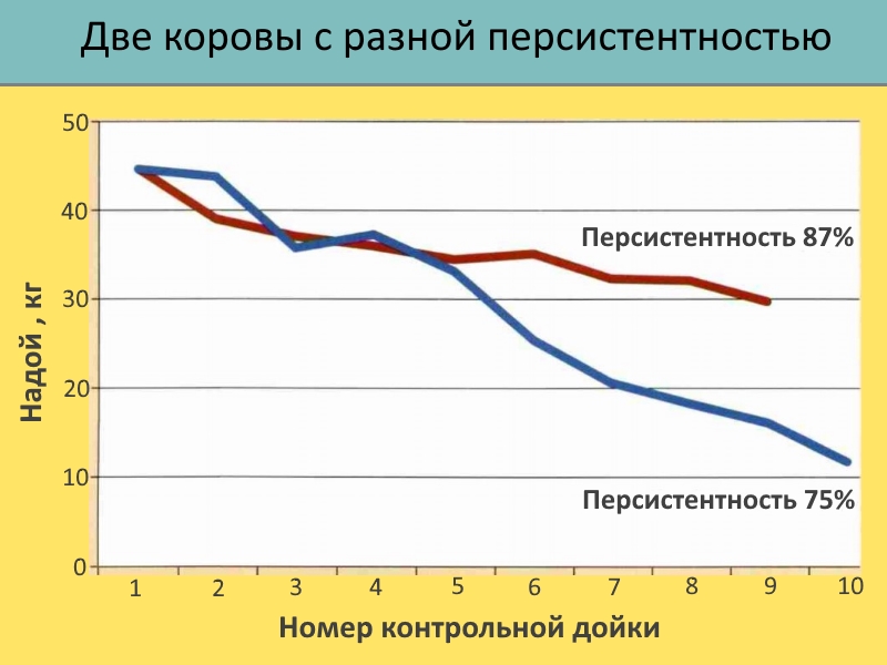Персистентность и Аниме