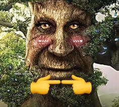 Link-Cut Tree + Splay